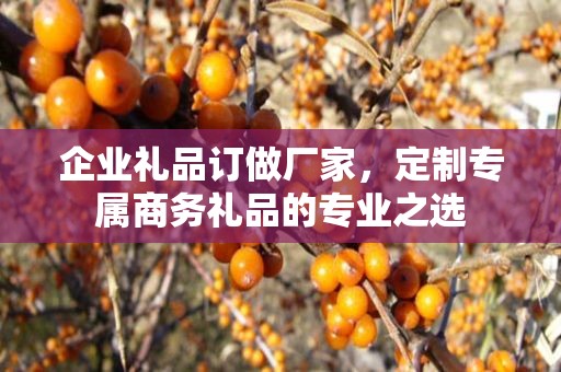 企业礼品订做厂家，定制专属商务礼品商务礼品定制公司