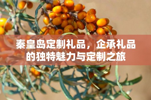 秦皇岛定制礼品，企承礼品的独特魅力与定制之旅